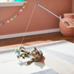 Frisco Pinata Teaser Wand Cat Toy With Catnip -Pawfect Care 264446 PT3. AC SS1800 V1618948636