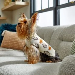 Disney Mickey Mouse Southwest Patterned Dog & Cat Sweater -Pawfect Care 264577 PT8. AC SS1800 V1646178494