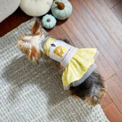 Disney Belle "Once Upon A Time" Dog & Cat Sweatshirt Dress -Pawfect Care 264600 PT8. AC SS1800 V1629488670