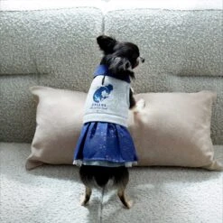 Disney Cinderella "Dreams Come True" Dog & Cat Sweatshirt Dress -Pawfect Care 264640 PT7. AC SS1800 V1637729522