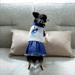 Disney Cinderella "Dreams Come True" Dog & Cat Sweatshirt Dress -Pawfect Care 264640 PT8. AC SS1800 V1629487173