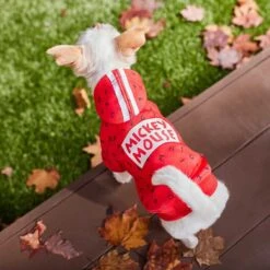 Disney Mickey Mouse Graphic Dog & Cat Hoodie -Pawfect Care 264647 PT6. AC SS1800 V1637645537