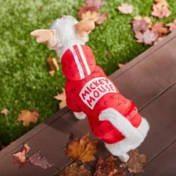 Disney Mickey Mouse Graphic Dog & Cat Hoodie -Pawfect Care 264647 PT8. AC SS1800 V1629488722