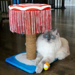 KONG Play Spaces CATbana Cat Toy -Pawfect Care 265159 PT2. AC SS1800 V1611786680