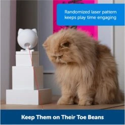 PetSafe Dancing Dot Laser Cat Toy -Pawfect Care 266211 PT5. AC SS1800 V1676318551