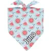 Frisco Watermelons Personalized Dog & Cat Bandana -Pawfect Care 267458 MAIN. AC SS1800 V1632674774