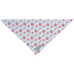 Frisco Watermelons Personalized Dog & Cat Bandana -Pawfect Care 267458 PT2. AC SS1800 V1632689192