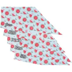 Frisco Watermelons Personalized Dog & Cat Bandana -Pawfect Care 267458 PT4. AC SS1800 V1632428809