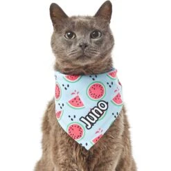 Frisco Watermelons Personalized Dog & Cat Bandana -Pawfect Care 267458 PT7. AC SS1800 V1632432684