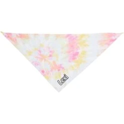 Frisco Tiedye Personalized Dog & Cat Bandana -Pawfect Care 267482 PT2. AC SS1800 V1632688902