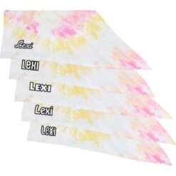 Frisco Tiedye Personalized Dog & Cat Bandana -Pawfect Care 267482 PT4. AC SS1800 V1632416499