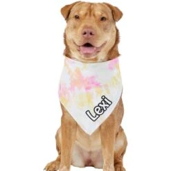 Frisco Tiedye Personalized Dog & Cat Bandana -Pawfect Care 267482 PT6. AC SS1800 V1632428490