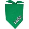 Frisco Solid Color Personalized Dog & Cat Bandana -Pawfect Care 267489 MAIN. AC SS1800 V1701981548