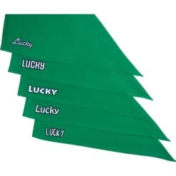 Frisco Solid Color Personalized Dog & Cat Bandana -Pawfect Care 267489 PT4. AC SS1800 V1632432099