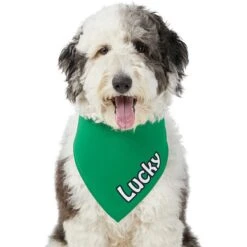 Frisco Solid Color Personalized Dog & Cat Bandana -Pawfect Care 267489 PT6. AC SS1800 V1632418582