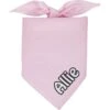 Frisco Solid Pastel Personalized Dog & Cat Bandana -Pawfect Care 267514 MAIN. AC SS1800 V1701982979