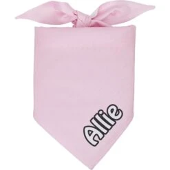 Frisco Solid Pastel Personalized Dog & Cat Bandana