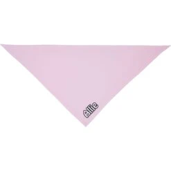 Frisco Solid Pastel Personalized Dog & Cat Bandana -Pawfect Care 267514 PT2. AC SS1800 V1632688343