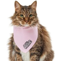 Frisco Solid Pastel Personalized Dog & Cat Bandana -Pawfect Care 267514 PT7. AC SS1800 V1632434472