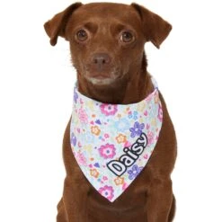 Frisco Bright Floral Personalized Dog & Cat Bandana -Pawfect Care 267535 PT7. AC SS1800 V1623164573