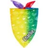 Frisco Rainbow Hearts Personalized Dog & Cat Bandana -Pawfect Care 267539 MAIN. AC SS1800 V1632683779