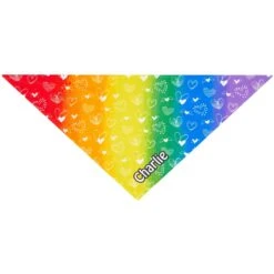 Frisco Rainbow Hearts Personalized Dog & Cat Bandana -Pawfect Care 267539 PT2. AC SS1800 V1632687993