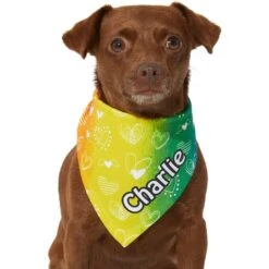 Frisco Rainbow Hearts Personalized Dog & Cat Bandana -Pawfect Care 267539 PT5. AC SS1800 V1632432071