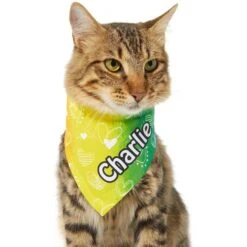 Frisco Rainbow Hearts Personalized Dog & Cat Bandana -Pawfect Care 267539 PT6. AC SS1800 V1632420703