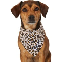 Frisco Leopard Print Personalized Dog & Cat Bandana -Pawfect Care 267543 PT7. AC SS1800 V1623164552