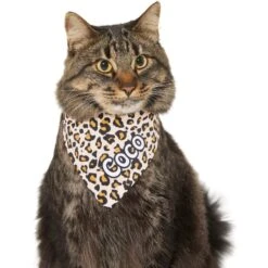Frisco Leopard Print Personalized Dog & Cat Bandana -Pawfect Care 267543 PT8. AC SS1800 V1623164342