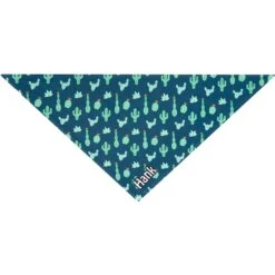 Frisco Cactus Personalized Dog & Cat Bandana -Pawfect Care 267551 PT3. AC SS1800 V1623093806
