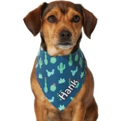 Frisco Cactus Personalized Dog & Cat Bandana -Pawfect Care 267551 PT7. AC SS1800 V1623164614