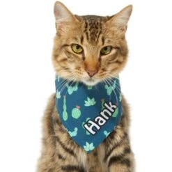 Frisco Cactus Personalized Dog & Cat Bandana -Pawfect Care 267551 PT8. AC SS1800 V1623164657