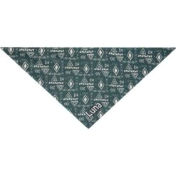 Frisco Boho Geo Personalized Dog & Cat Bandana -Pawfect Care 267559 PT3. AC SS1800 V1623094369