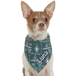 Frisco Boho Geo Personalized Dog & Cat Bandana -Pawfect Care 267559 PT7. AC SS1800 V1623164863