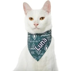 Frisco Boho Geo Personalized Dog & Cat Bandana -Pawfect Care 267559 PT8. AC SS1800 V1623164651