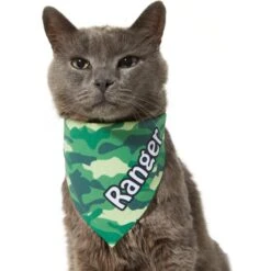 Frisco Green Camo Personalized Dog & Cat Bandana -Pawfect Care 267563 PT8. AC SS1800 V1623182074