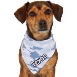 Frisco Gray Camo Personalized Dog & Cat Bandana -Pawfect Care 267571 PT7. AC SS1800 V1623164679