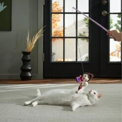 Disney Hocus Pocus' Mary's Vacuum Teaser Cat Toy With Catnip -Pawfect Care 267876 PT3. AC SS1800 V1623245551