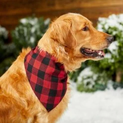 Red Buffalo Plaid Dog & Cat Bandana -Pawfect Care 267899 PT5. AC SS1800 V1637666506