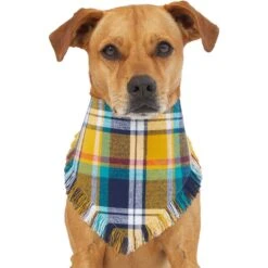 Frisco Blue/Yellow Plaid Dog & Cat Flannel Bandana -Pawfect Care 267901 PT2. AC SS1800 V1637717796
