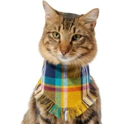 Frisco Blue/Yellow Plaid Dog & Cat Flannel Bandana -Pawfect Care 267901 PT3. AC SS1800 V1637677287