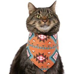Frisco Southwest Dog & Cat Bandana 13 Frisco Southwest Dog & Cat Bandana -Pawfect Care 267904 PT3. AC SS1800 V1637720839