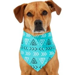Frisco Geometric Dog & Cat Bandana -Pawfect Care 267907 PT2. AC SS1800 V1637653589