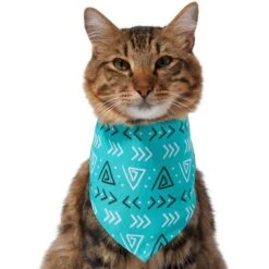 Frisco Geometric Dog & Cat Bandana -Pawfect Care 267907 PT3. AC SS1800 V1637678544