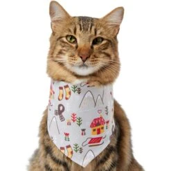 Frisco Wintry Vibes Dog & Cat Bandana -Pawfect Care 267916 PT3. AC SS1800 V1637657814