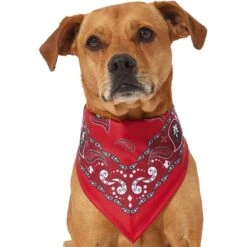 Frisco Red Paisley Dog & Cat Bandana -Pawfect Care 267919 PT2. AC SS1800 V1637669854