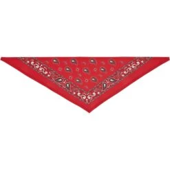 Frisco Red Paisley Dog & Cat Bandana -Pawfect Care 267919 PT4. AC SS1800 V1637674037