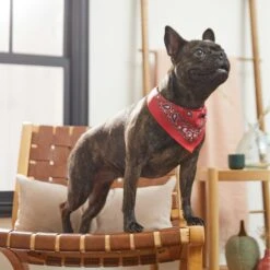 Frisco Red Paisley Dog & Cat Bandana -Pawfect Care 267919 PT5. AC SS1800 V1637687581