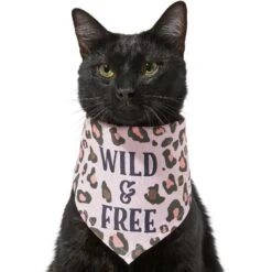 Frisco Pink Leopard Dog & Cat Bandana -Pawfect Care 267922 PT3. AC SS1800 V1637687868